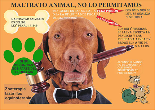 afiche campaña