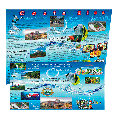 revista